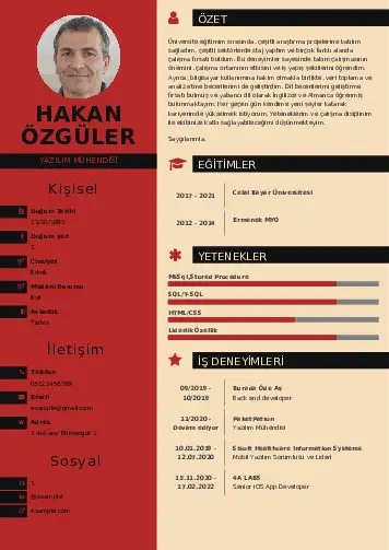 Yazılım Mühendisi Cv Örnekleri cv indir